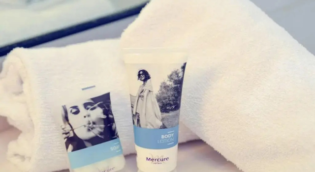 Двухместный номер Standard Mercure Lyon Est Chaponnay
