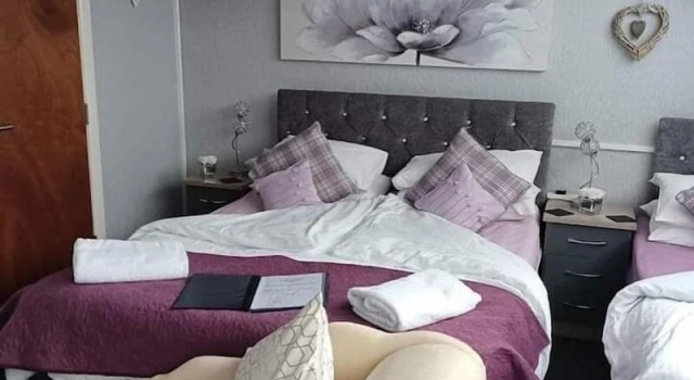 Семейный номер Standard Friends Hotel