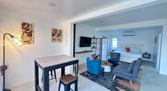 Двухместный люкс с красивым видом из окна Coralito Bay Suites & Villas