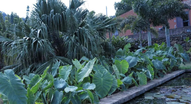 Haciendas del Valle - Las Kentias, Book Hotel SPA Hotels in Tenerife, SPA