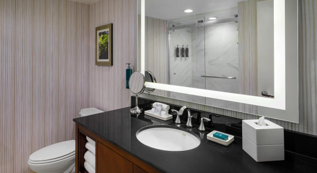 Четырёхместный номер Standard Hilton Washington DC/Rockville Hotel & Executive Meeting Center