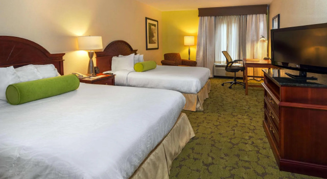 Четырёхместный номер Standard Hilton Garden Inn Montgomery East
