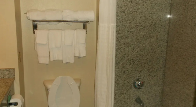Люкс Standard Comfort Inn & Suites Seguin