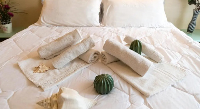 Двухместный номер Standard Hotel Cristina Hospitality Centrale