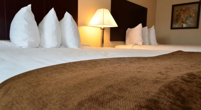 Четырёхместная студия Cobblestone Inn & Suites - Clarion