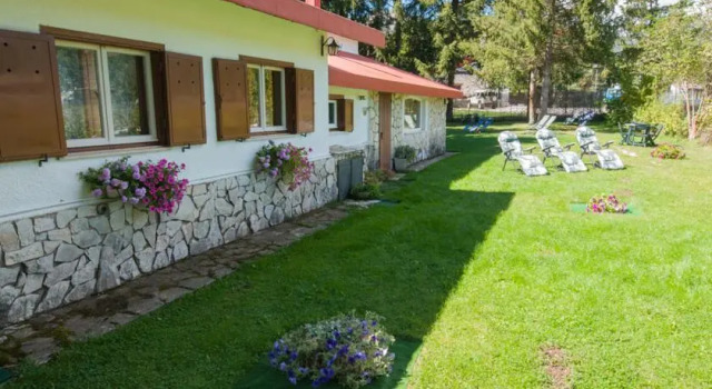 Myosotis, Book Hotel Pescasseroli 