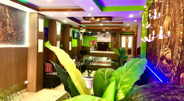 Кровать в общем номере (мужской номер) Hotel Plumeria Inn