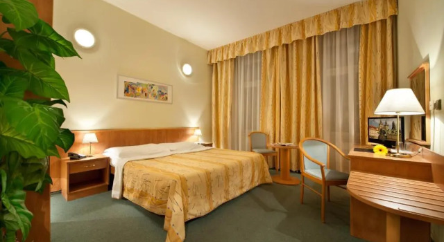 Camera singola Standard Hotel Aron