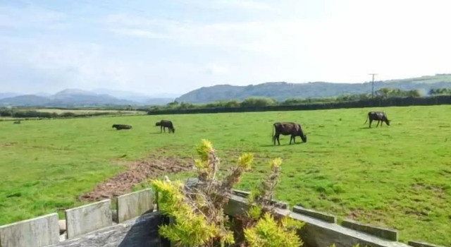 Коттедж Muncaster View