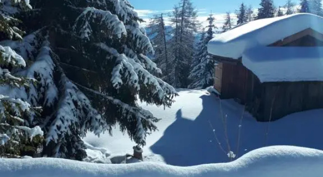 Apartment Bruneck Central, Забронировать Апартаменты/квартира Апартаменты Брунико, Апартаменты/квартира