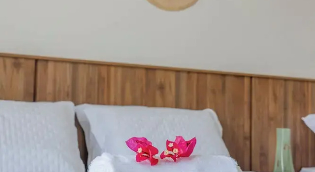 Номер Superior Villa do Ze