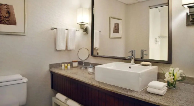 Двухместный номер Arch View Hyatt Regency Saint Louis at The Arch