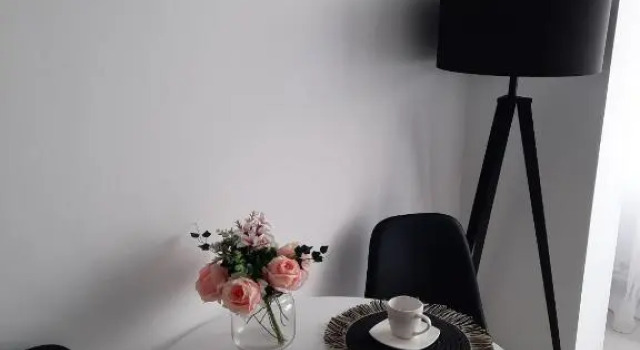 Studio ANA, Rezerwuj Apartament Fagaras Brasov