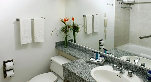 Номер Deluxe Hotel Estelar Altamira