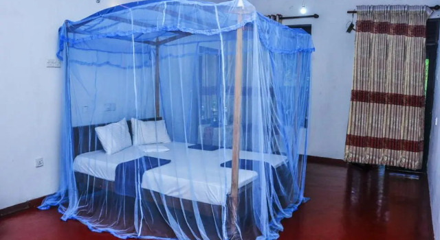 Номер Deluxe Tamasha Mango House