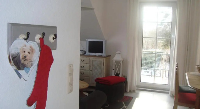Kiefernblick
