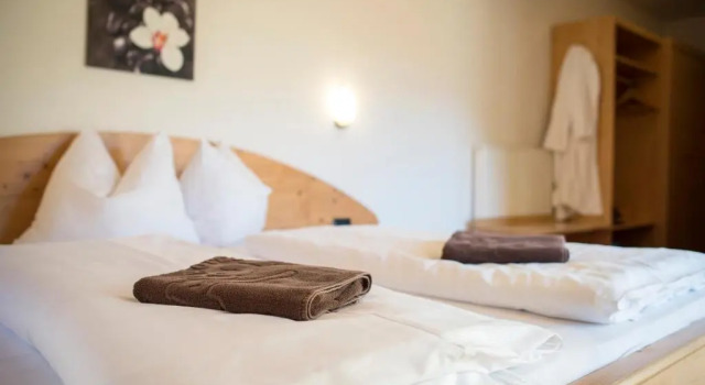 Люкс Hotel Alpin