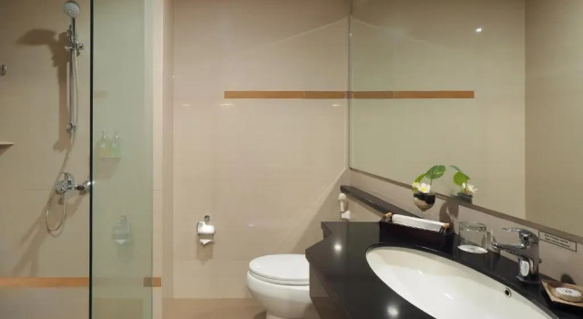 Двухместный номер Deluxe Swiss-Belhotel Rainforest