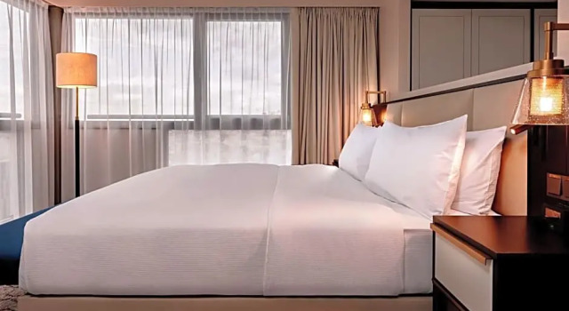 Двухместный полулюкс с панорамным видом Hilton Vienna Park
