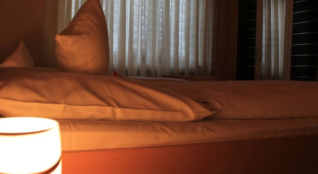 Одноместный номер Standard Бутик-отель Ar Boutique Hotel Heusenstamm