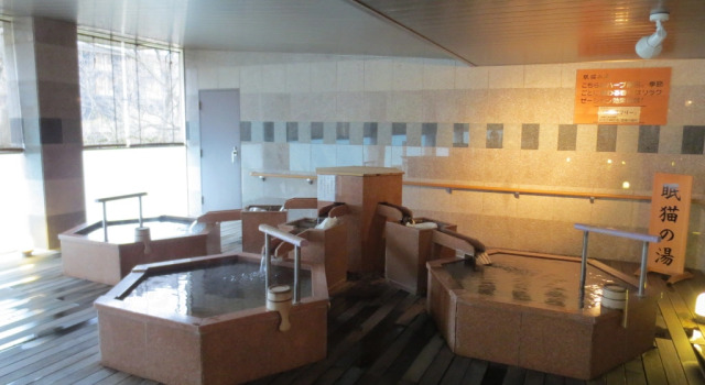 Ooedo Onsen Monogatari Premium Kinugawa Kanko Hotel, Забронировать Отель Отели Kita Kanto 3 звезды, 3*