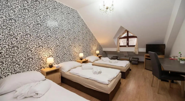 Трёхместный номер Standard Hotel Panský dům