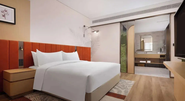 Люкс Hilton Garden Inn Harbin Haxi