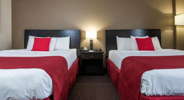 Номер Business Paradise Inn & Conference Centre