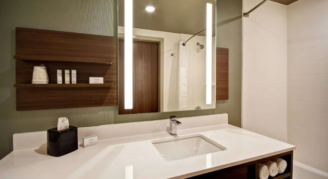 Двухместный номер Standard Hilton Garden Inn Lansing West