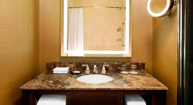 Двухместный номер Standard с балконом Sheraton Orlando North