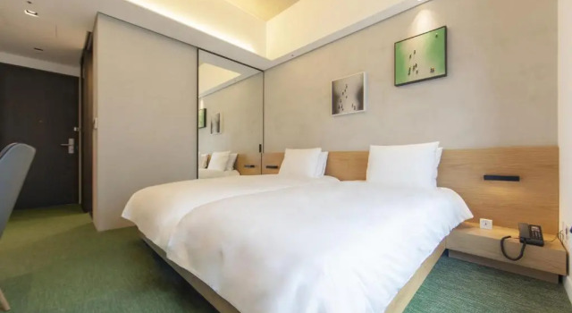 Двухместный номер Standard Hop Inn Seoul Myeongdong