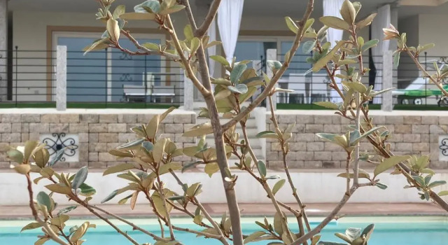 Апартаменты Aqualife Residence luxury apartment