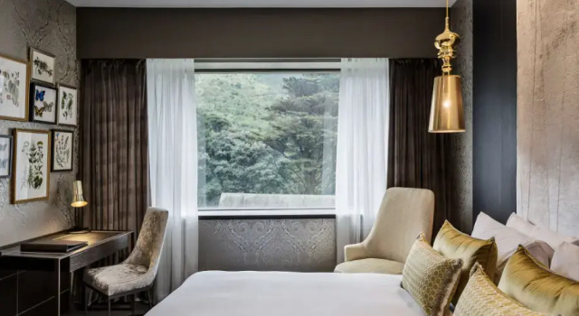 Номер Superior Sofitel Wellington