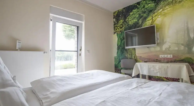 Двухместный номер Standard Hotel Fürstenberger Hof
