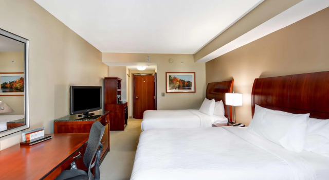 Четырёхместный номер Standard Hilton Garden Inn Tampa Northwest/Oldsmar