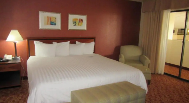 Номер Standard Atrium Hotel and Suites DFW Airport