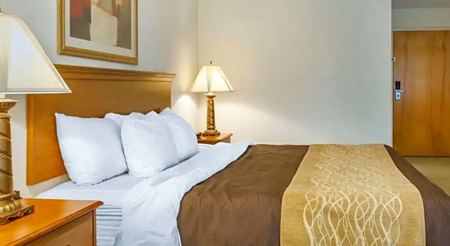 Номер Standard Quality Inn & Suites Near Amish Country