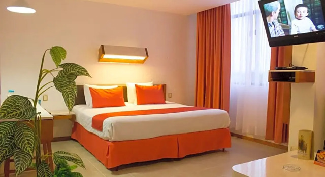 Junior suite Hotel Enríquez