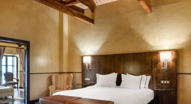Люкс Hotel Palacio del Carmen, Autograph Collection