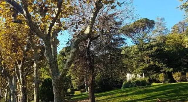 Apartment Maguejea, 13 Rue Paul Cere 4, Varaa Huoneisto Lamalou-les-Bains Hérault