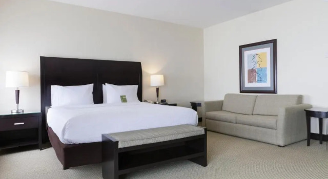 Полулюкс Hilton Garden Inn Guanacaste Airport