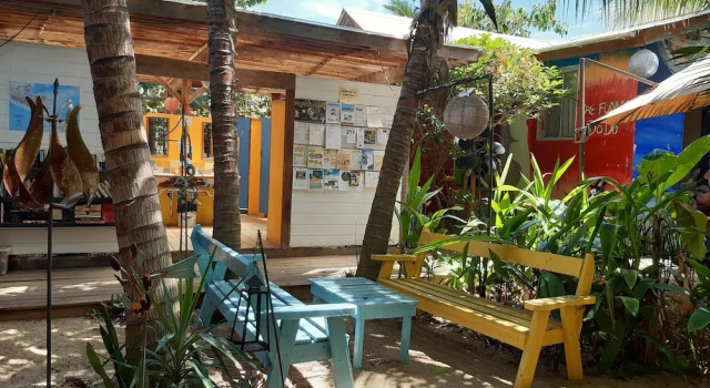 Кровать в общем номере The Funky Dodo Backpackers Hostel