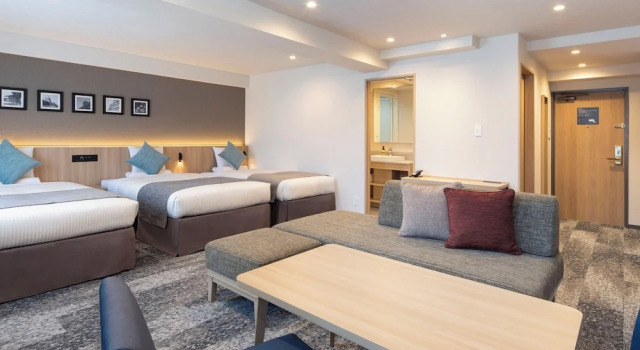 Трёхместный номер Deluxe HOTEL MYSTAYS Iidabashi