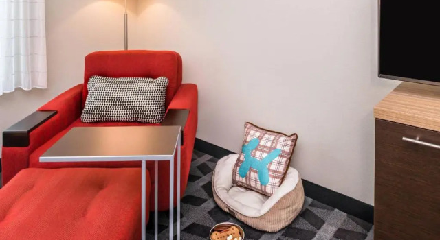 Четырёхместная студия с видом на горы TownePlace Suites by Marriott San Bernardino Loma Linda
