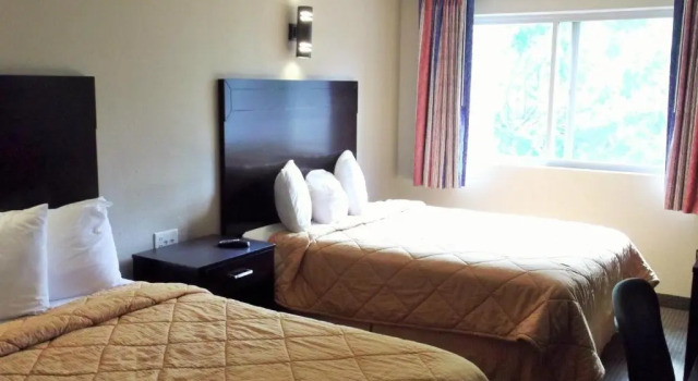 Четырёхместный номер Standard Downtown Value Inn