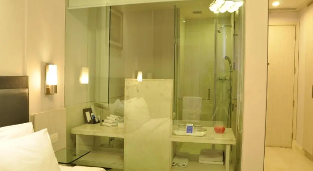Двухместный номер Deluxe Sarovar Portico Naraina, Hotel