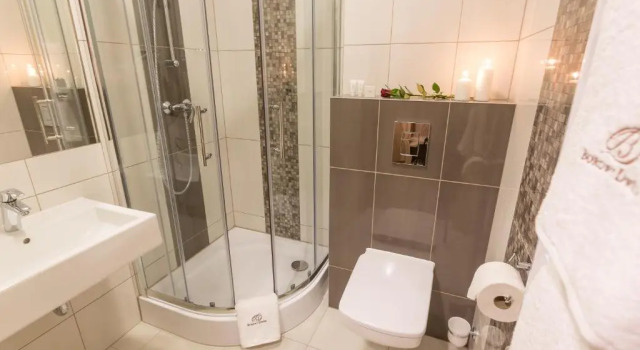 Номер Standard Borowy Dwór- Biznes, Spa & Fun