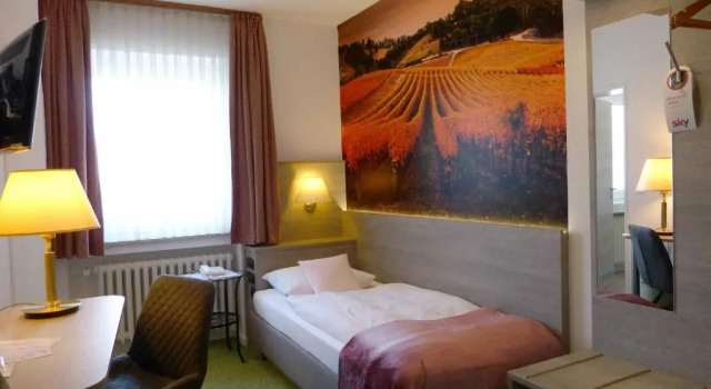 Одноместный номер Superior Hotel Wurms