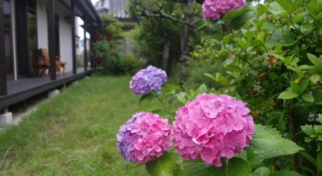 guest house Ki-zu - Vacation STAY 95389v, Book Pension Billige hoteller i Nishio