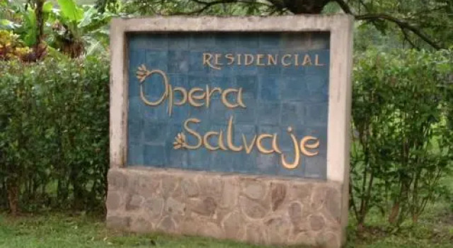Quinta Teca at Opera Salvaje